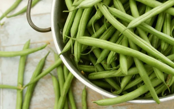 Bushel of green beans price