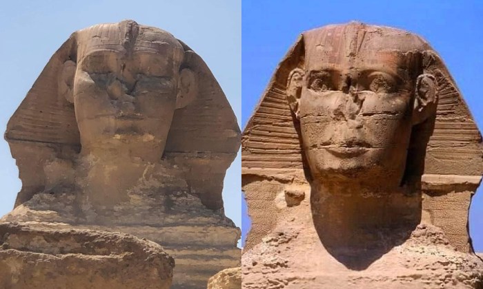 Compared to the netherlands egypt has