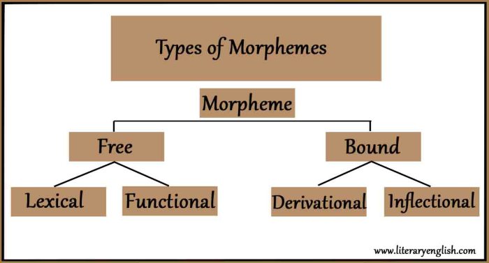 Morphemes dogs