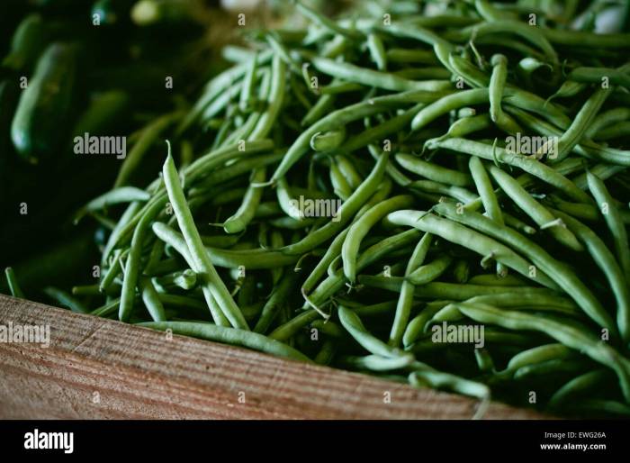 Beans green vegetables greenbeans zimbabwe vegetable harare fresh