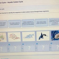 Cycle carbon diagram simple ucar science parts land edu draw co2 carboncycle global emphasizing terrestrial based