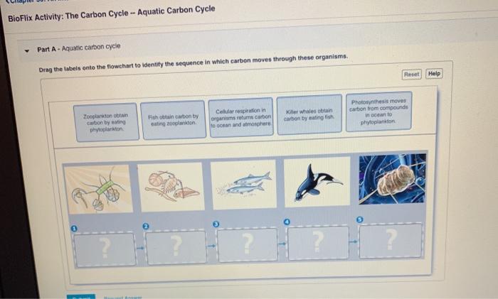 Cycle carbon diagram simple ucar science parts land edu draw co2 carboncycle global emphasizing terrestrial based