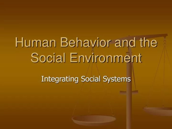 Human behavior in the social environment 5th edition pdf free