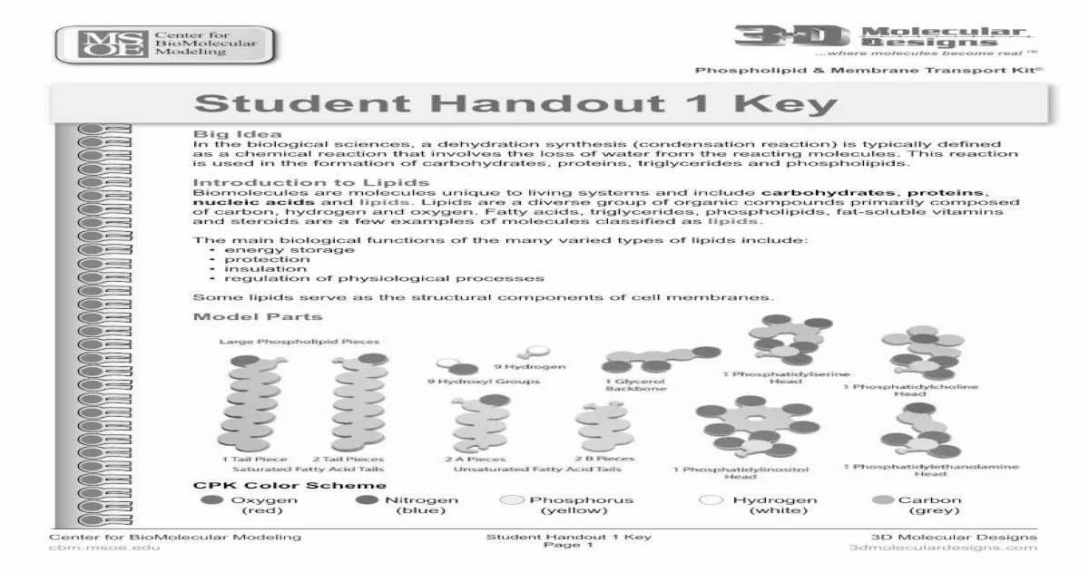 Phospholipid and membrane transport kit answer key